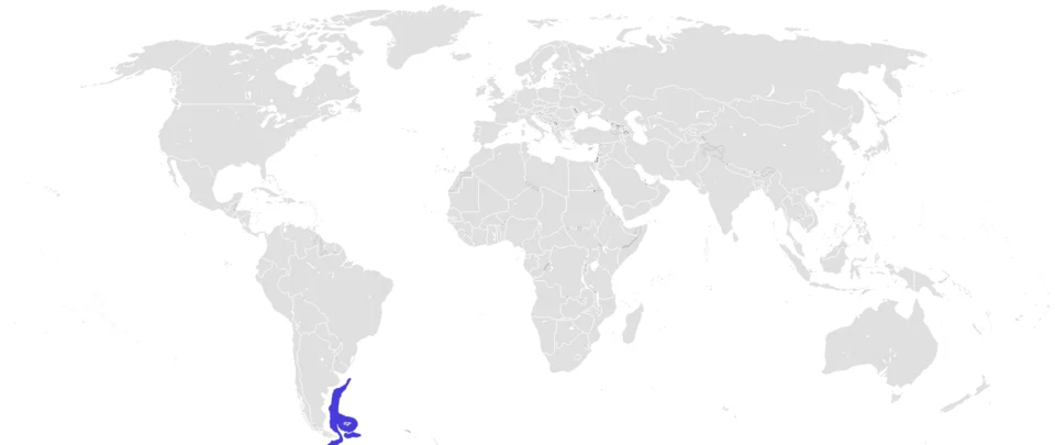 Range of the greytail skate (Bathyraja griseocauda).