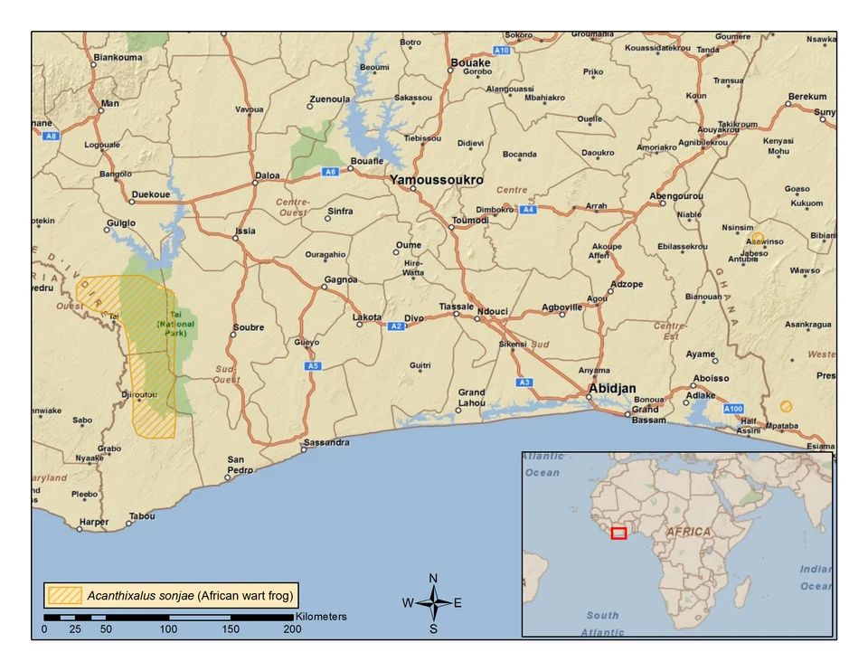 Map of the IUCN distribution of Acanthixalus sonjae (African wart frog).