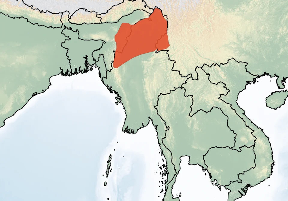 Distribution of Berylmys manipulus. Red - Extant (resident).