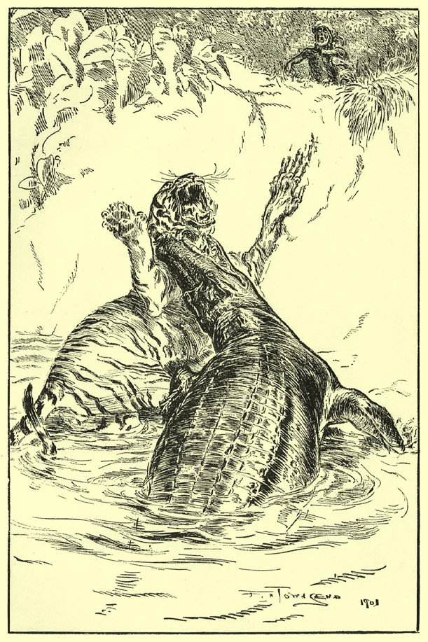 Townsend’s crocodile Buáya seizing the tiger Rīmau in the river