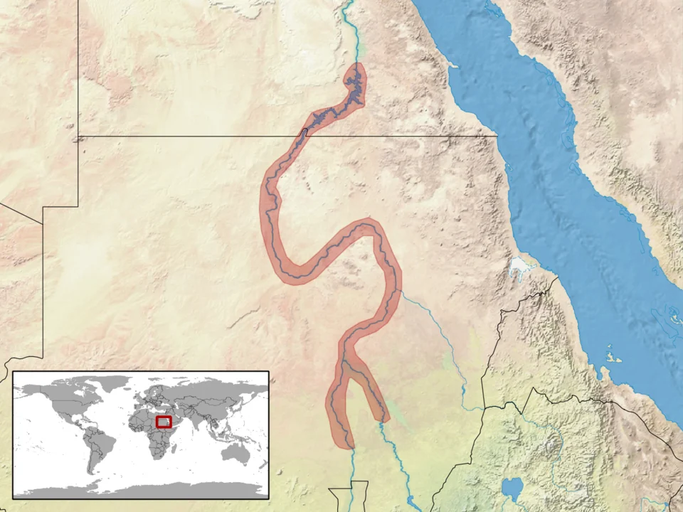geographic distribution of Tropiocolotes nubicus (Native:
Egypt; Sudan)