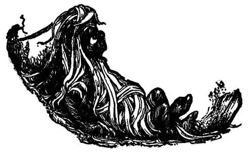 Yallery Brown, long-haired wrinkled helper, Batten
