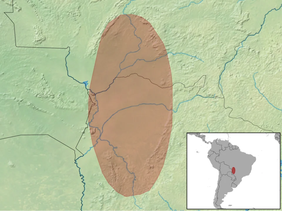 geographic distribution of Thrichomys pachyurus