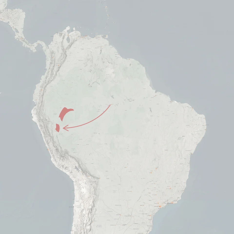 The approximate distribution of the Geoffroy's Saddle-back Tamarin.
Data from https://doi.org/10.48600/MOL-48VZ-P413