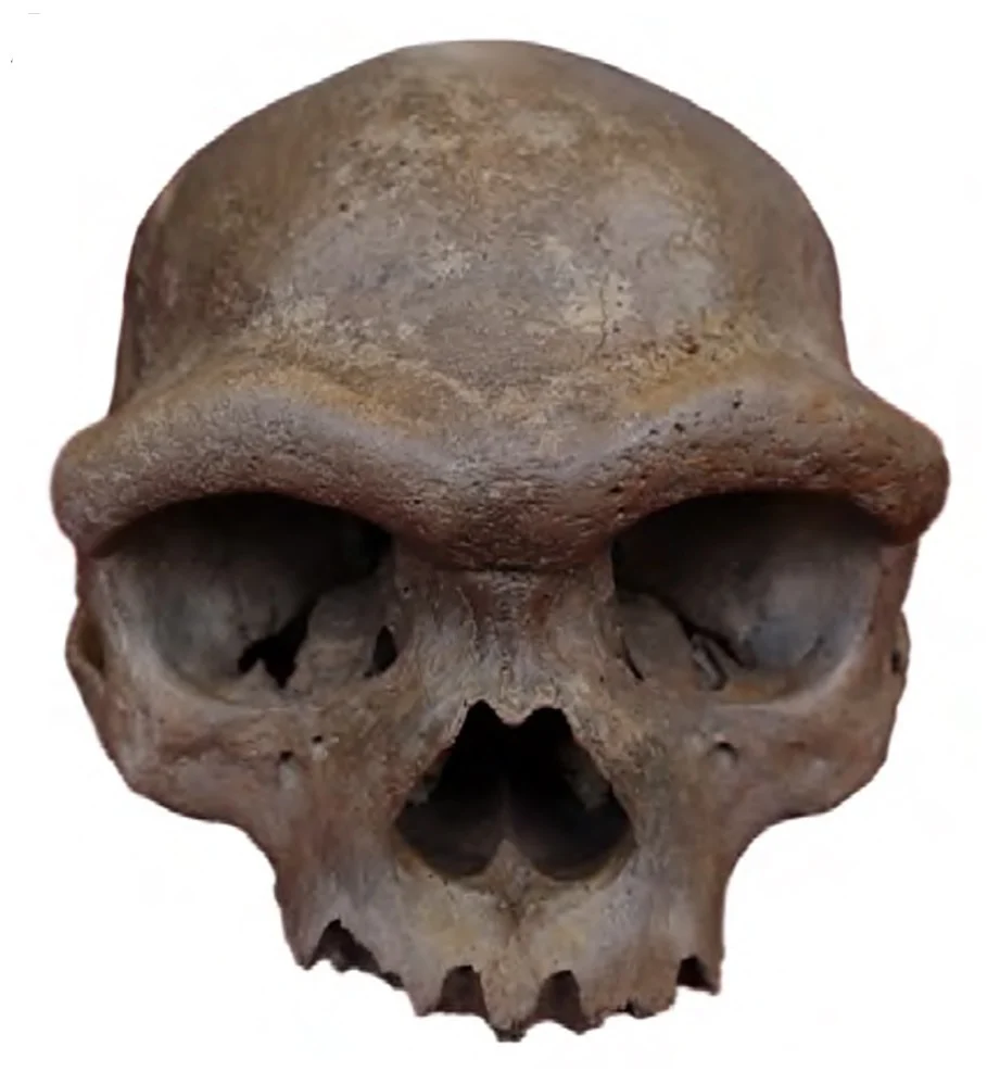 Denisovans
