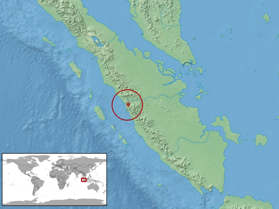 geographic distribution of Etheridgeum pulchrum (Native: Indonesia (Sumatera))