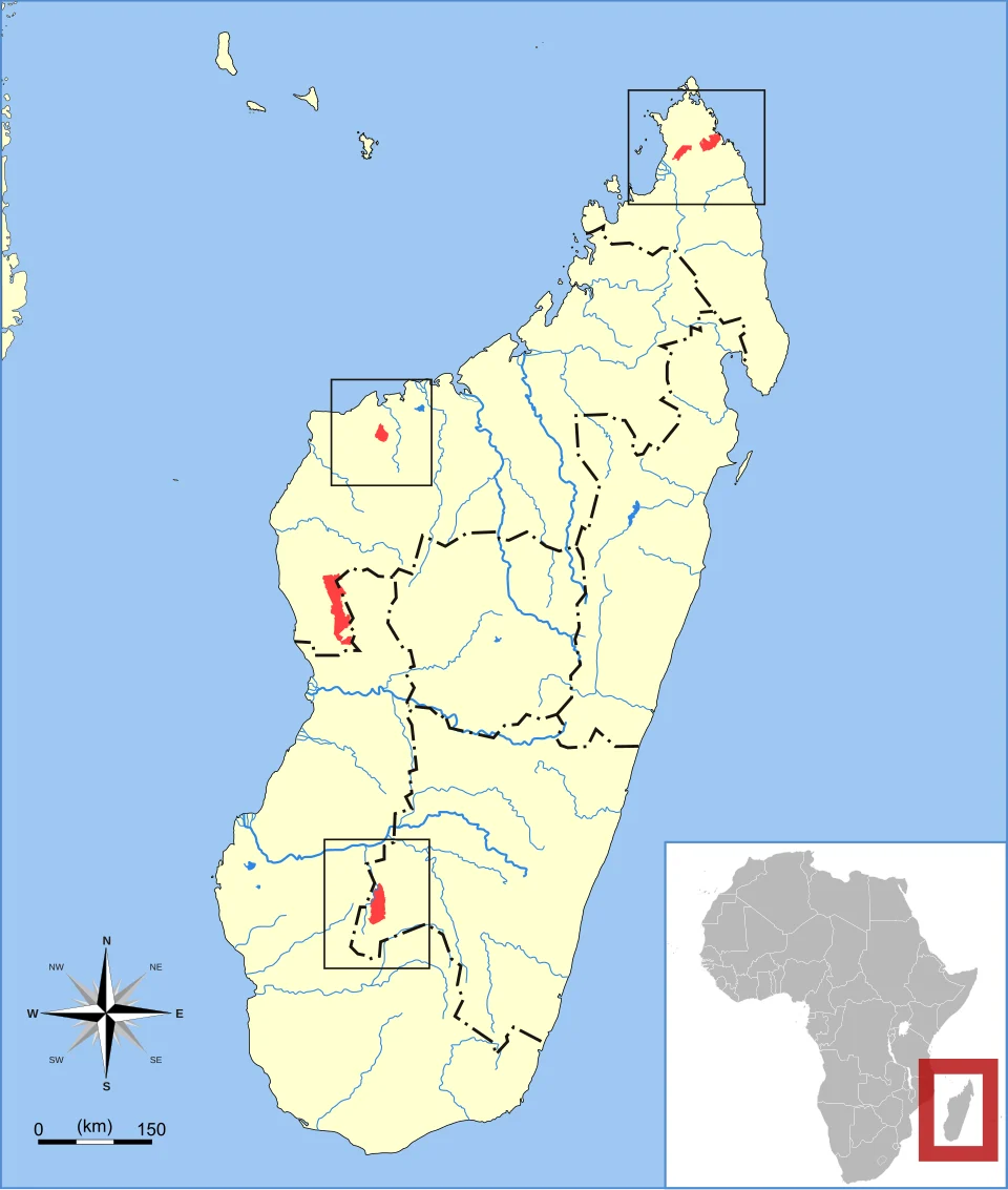 Madagascar Free-tailed Bat (Otomops madagascariensis) range