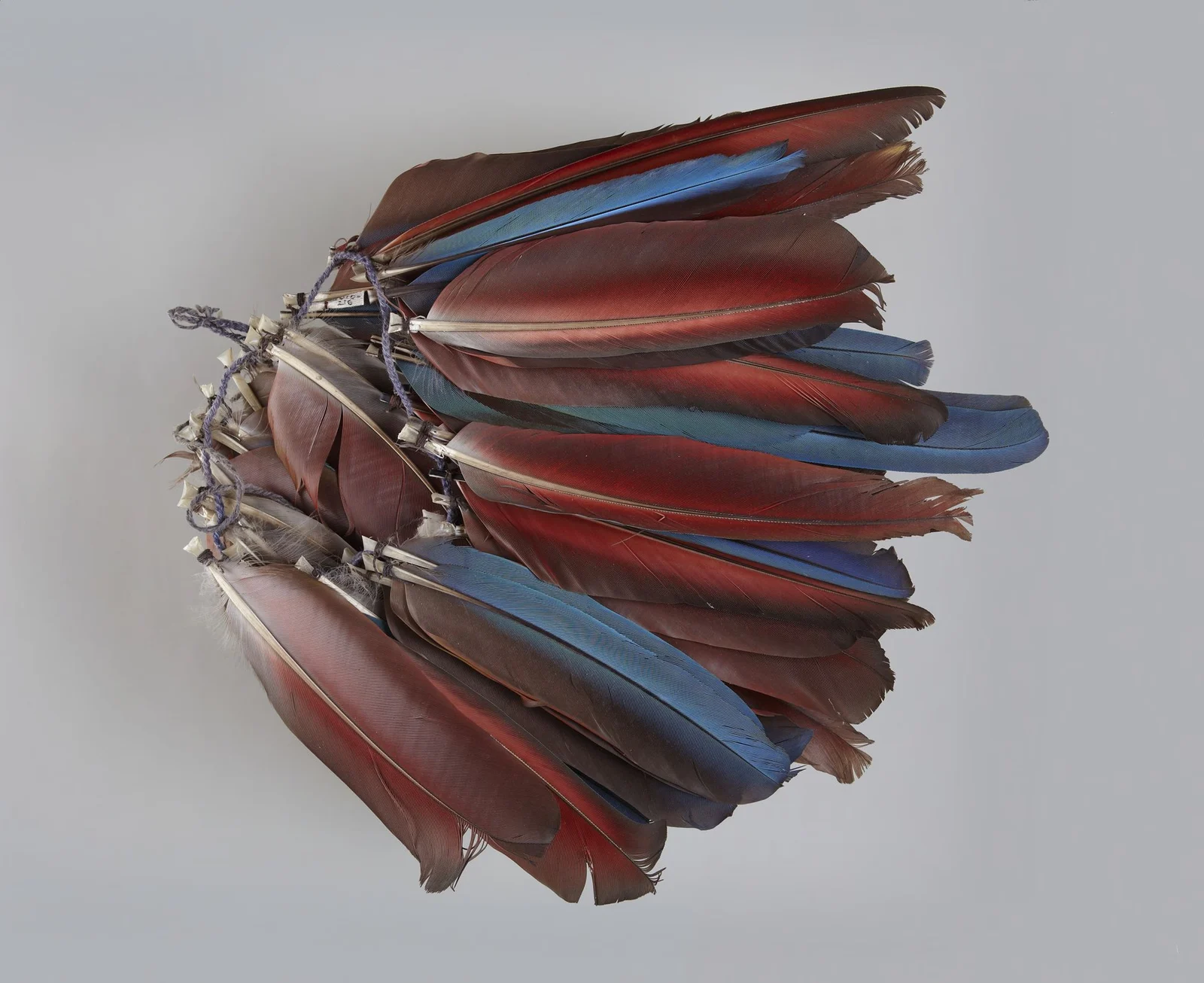 A feather ornament lies on a gray surface, with long red-brown and blue feathers tied together at their shafts with visible cord.