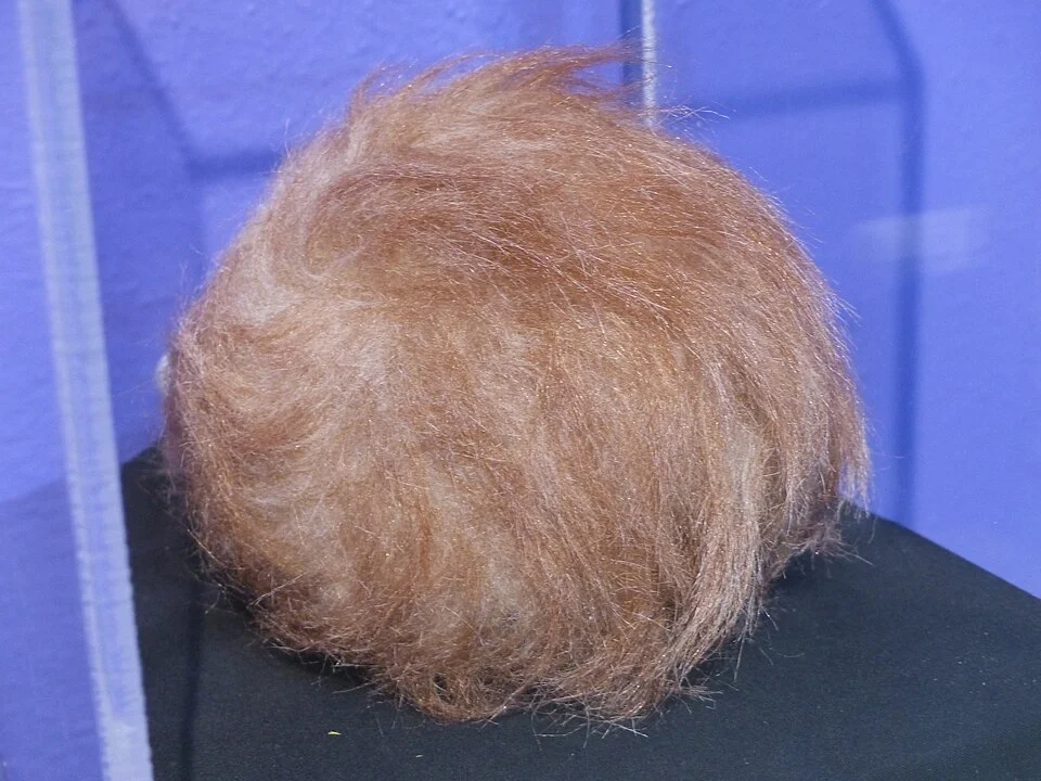 Tribble