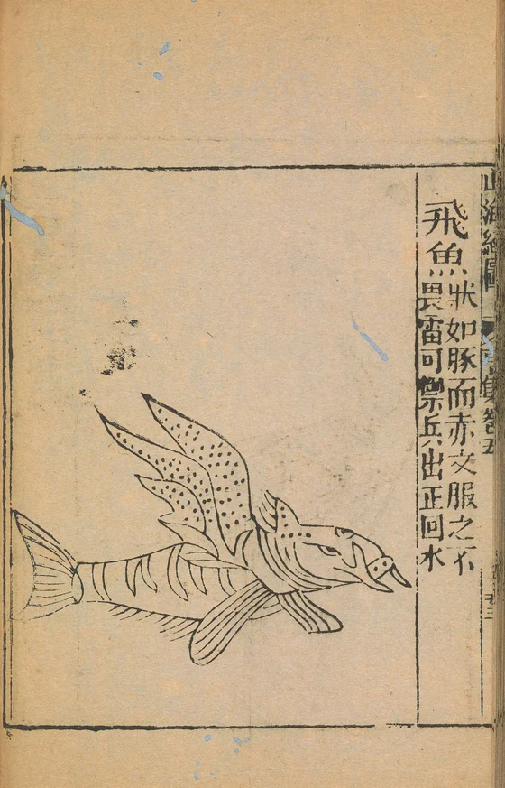 Flying fish of Mount Gui, named1667 historical plate