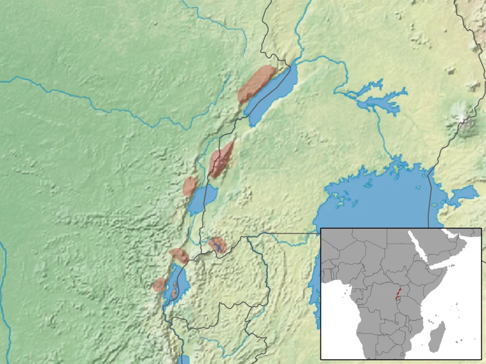 geographic distribution of Thamnomys venustus