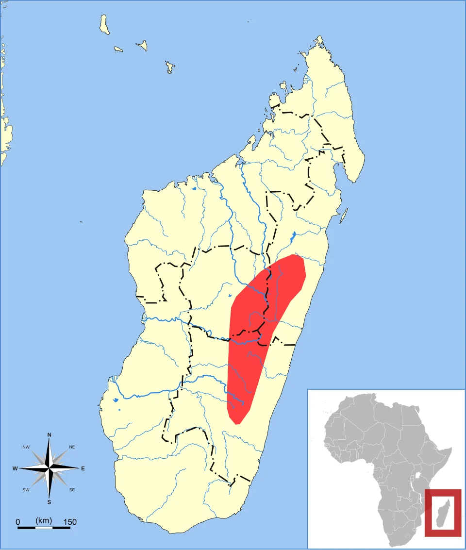 Web-footed Tenrec (Limnogale mergulus) range