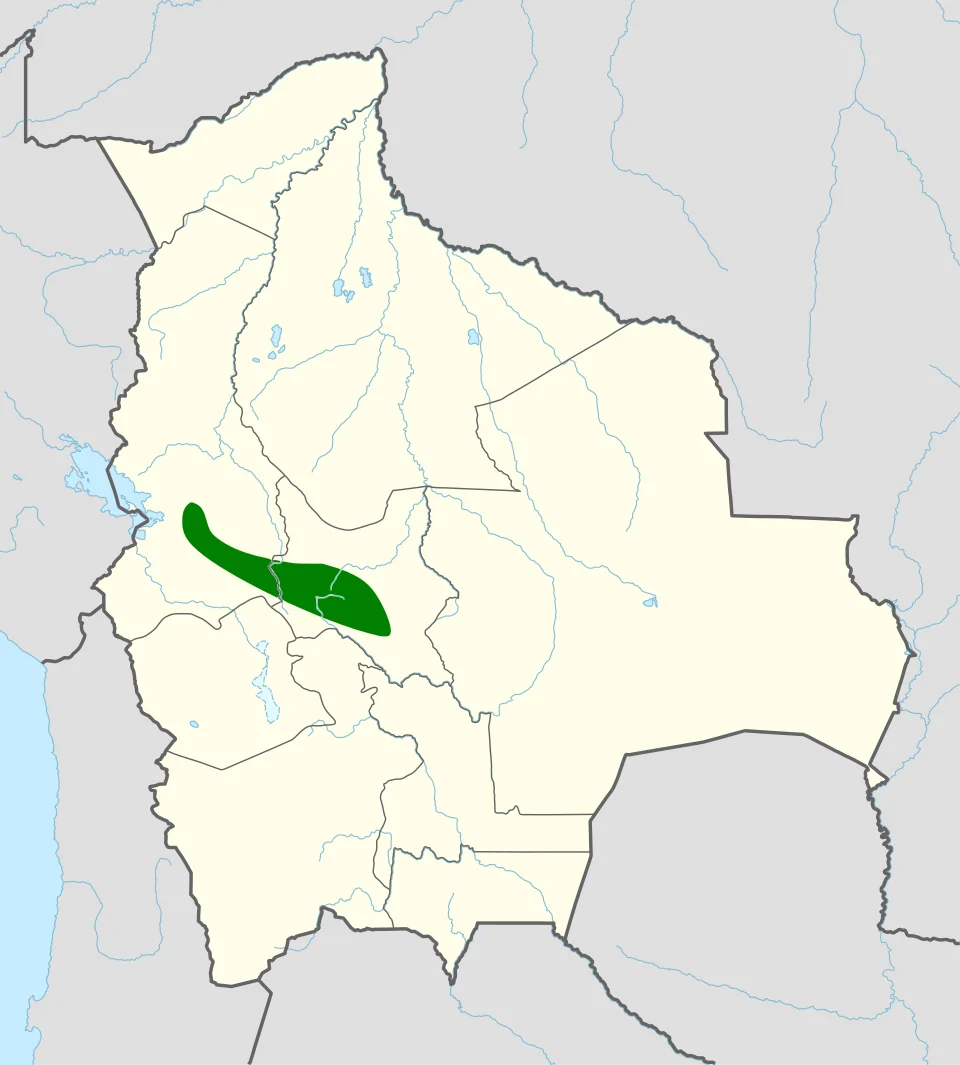 Approximate range of Bolivian antpitta (Grallaria cochabambae)