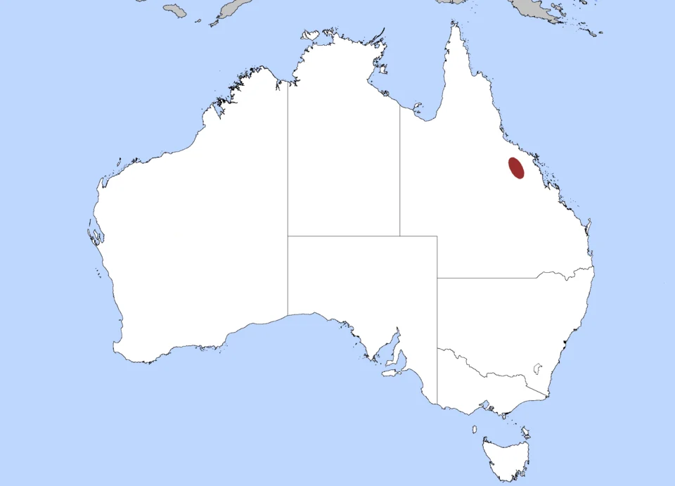 The Distribution of the Mt Cooper Striped Lerista