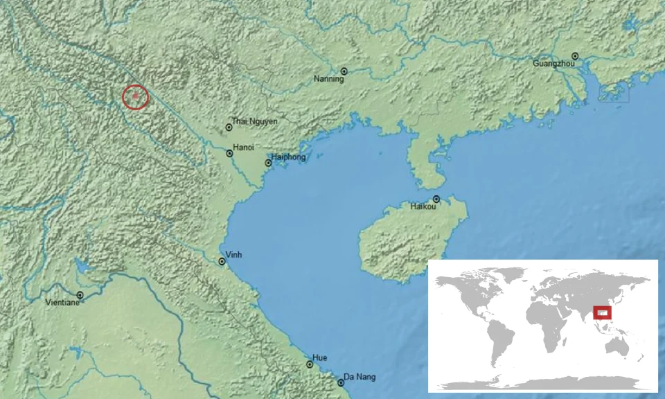 geographic distribution of Leptolalax bourreti