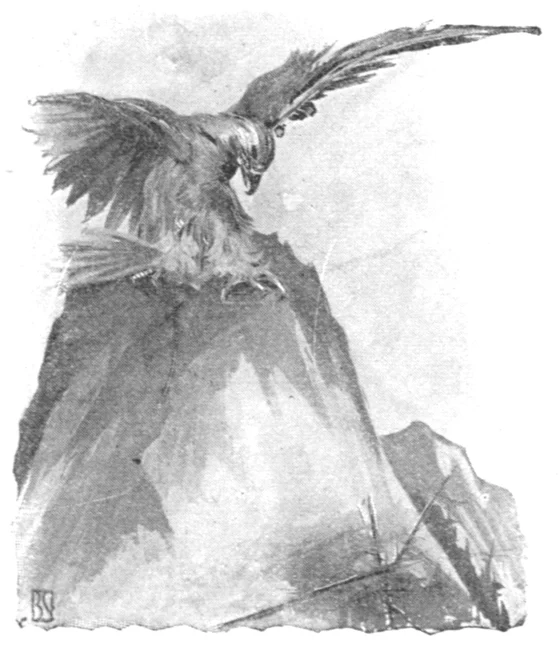 F. Berkeley Smith’s1902 Wuchoʿsen wind-eagle illustration: a large eagle spreads its wings over a rocky peak, with the artist’s monogram at lower left.