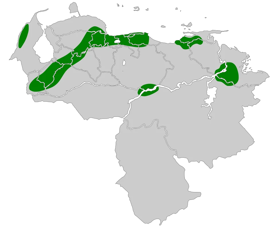 Range map of Andre's Swift (Chaetura andrei)