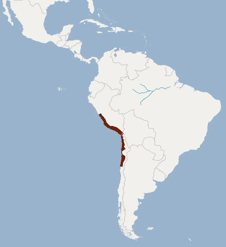 Geographical distribution of Myotis atacamensis according to IUCNREDLIST.org