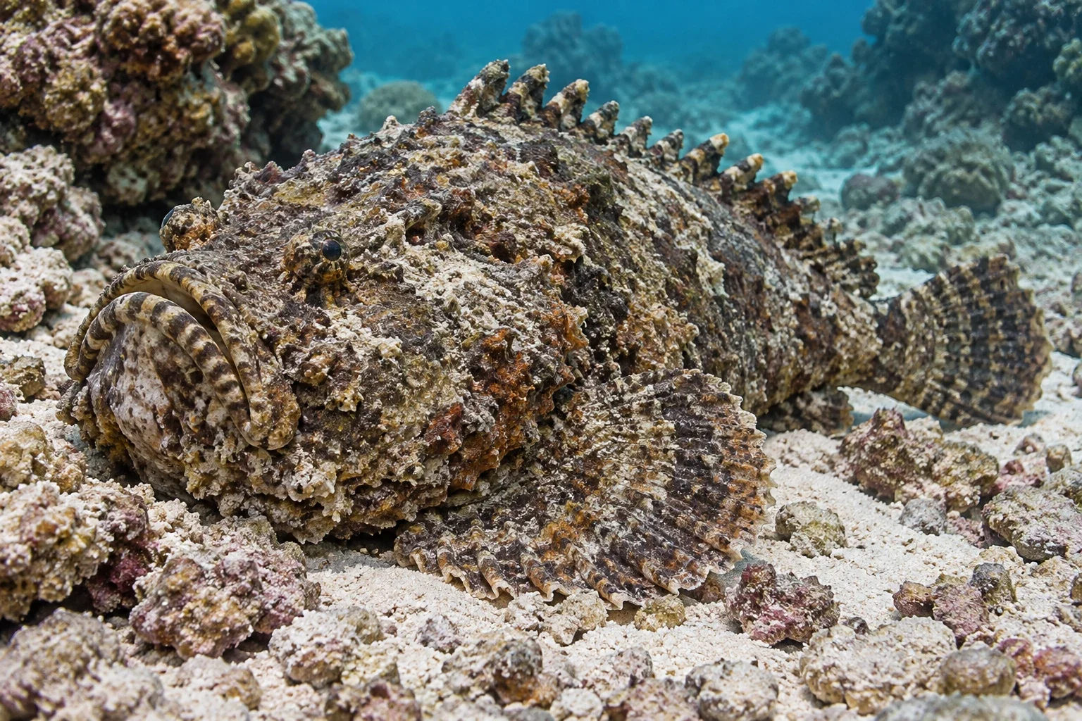 Modern AI interpretation of reef stonefish form.