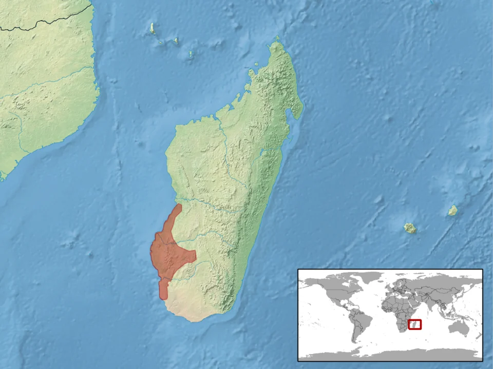 geographic distribution of Paroedura vahiny