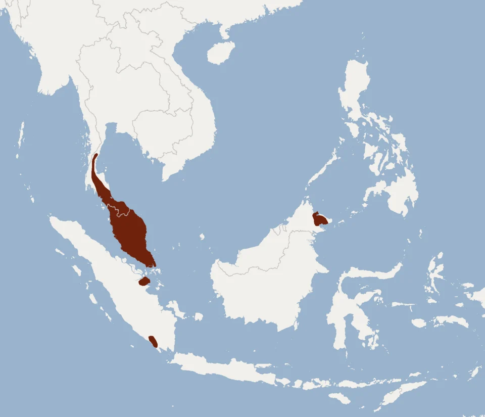 Geographical distribution of Phoniscus atrox according to IUCNRedlist