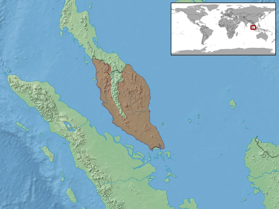 geographic distribution of Cyrtodactylus sworderi (Native:
Malaysia (Peninsular Malaysia))