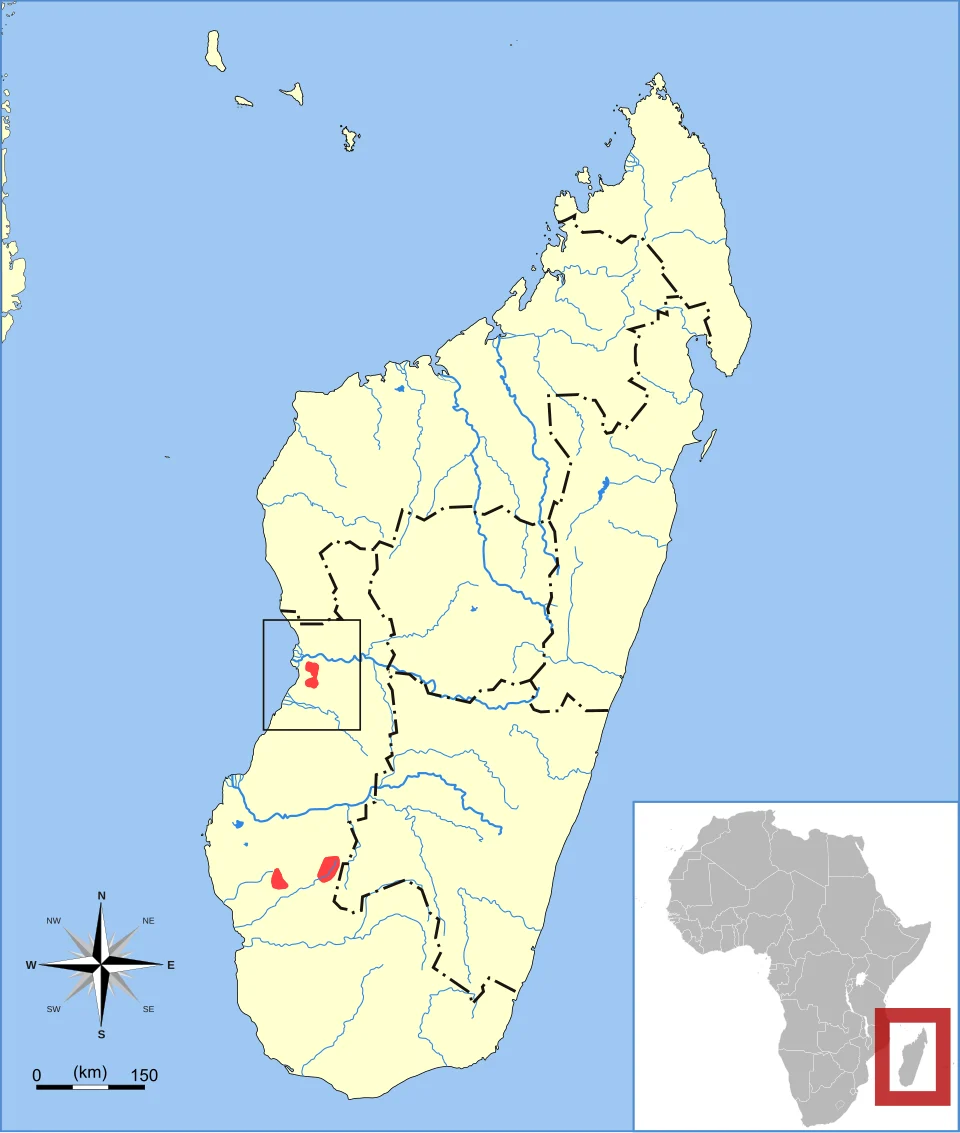 Nasolo's Shrew Tenrec (Microgale nasoloi) range