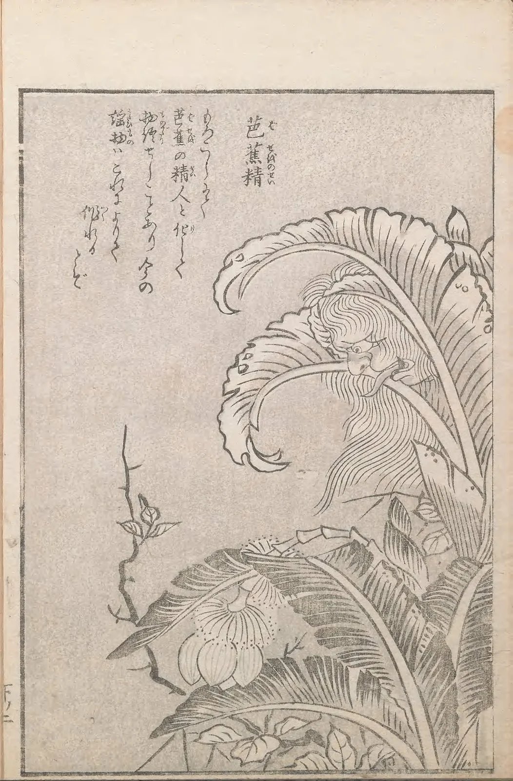 Bashō-no-sei, named plate by Toriyama Sekien