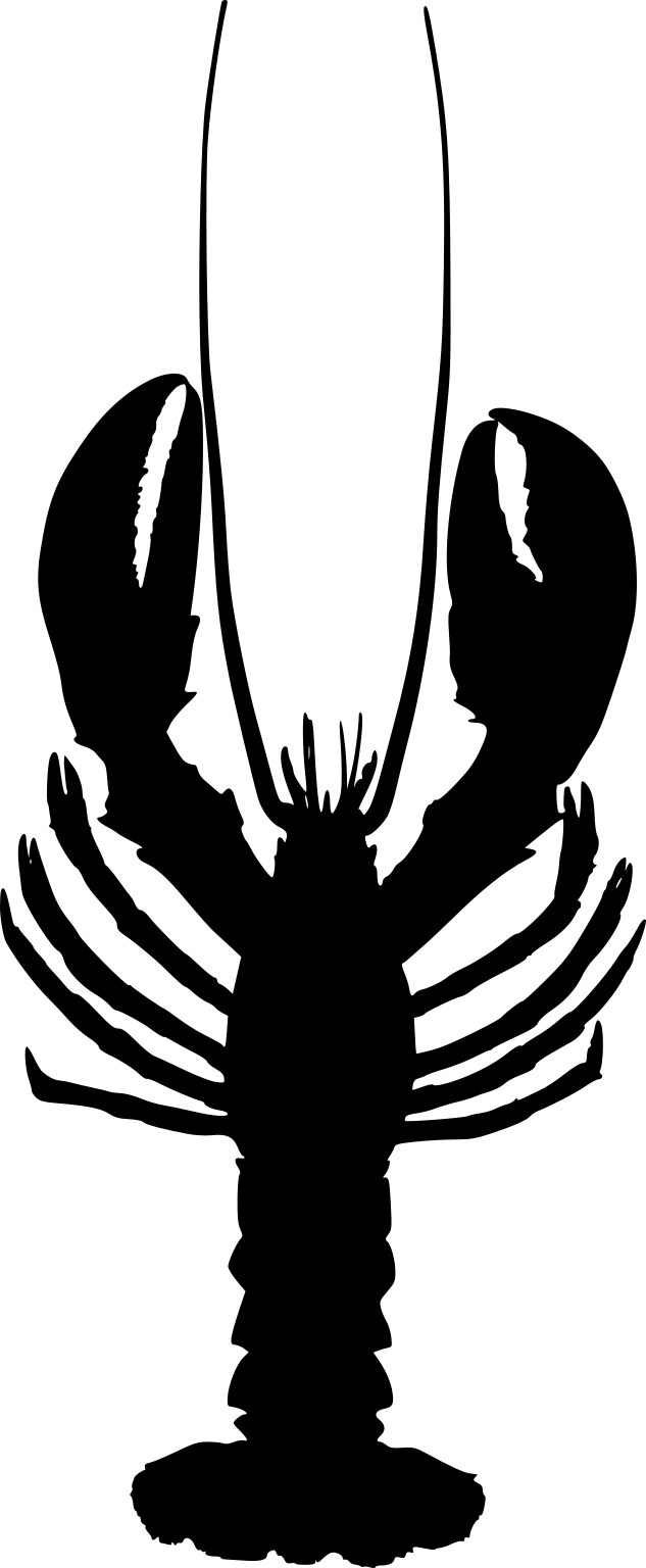 A black lobster silhouette seen from above, with two large claws, long antennae, walking legs and a tail fan.