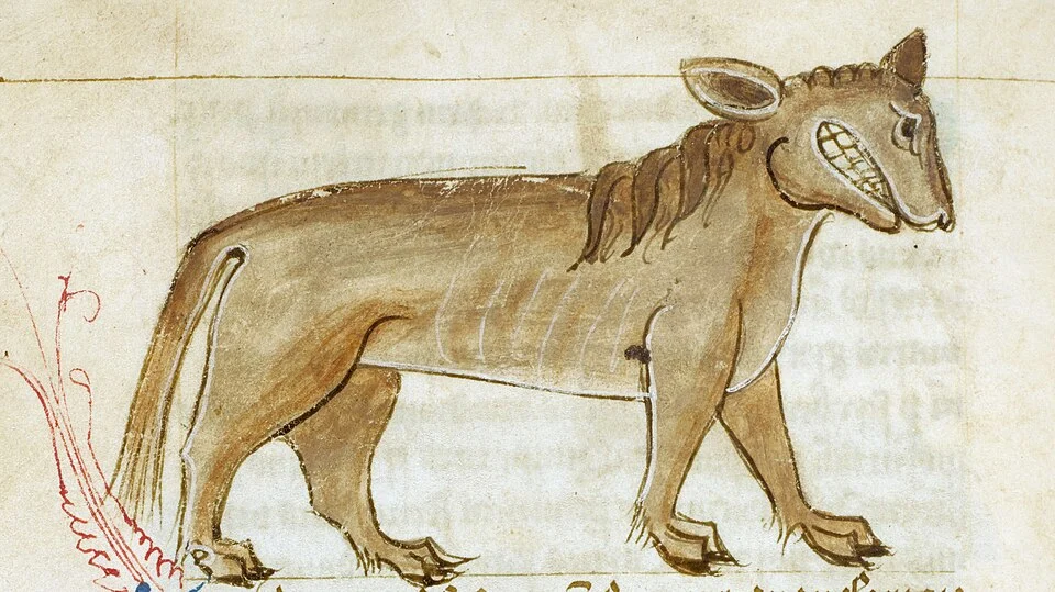 Leucrocotta