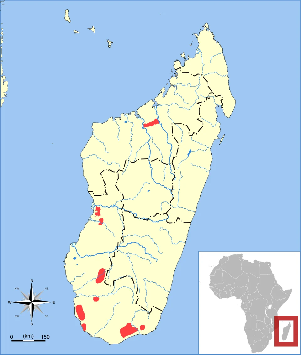 Large-eared Tenrec (Geogale aurita) range