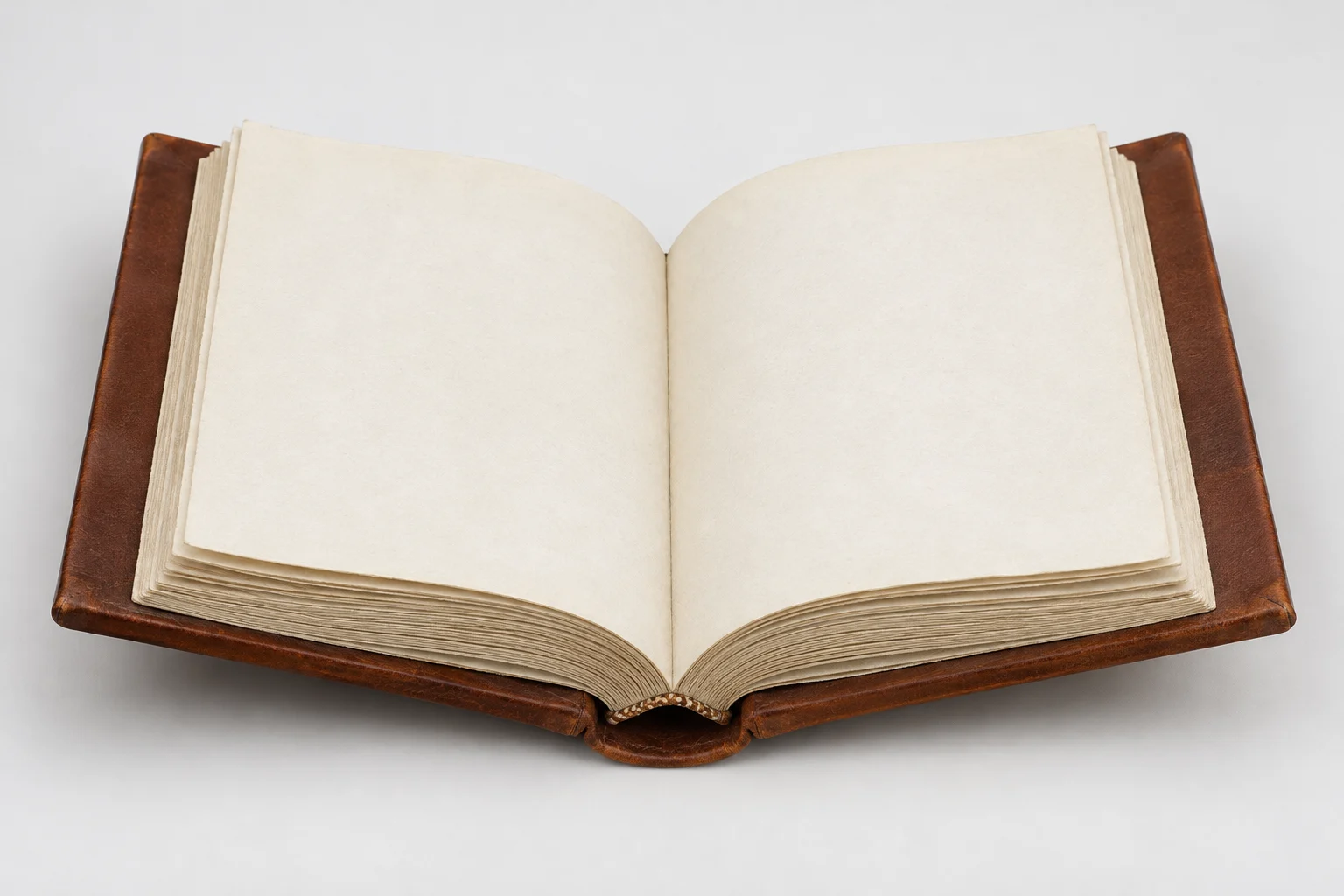 Open hand-bound leather book.