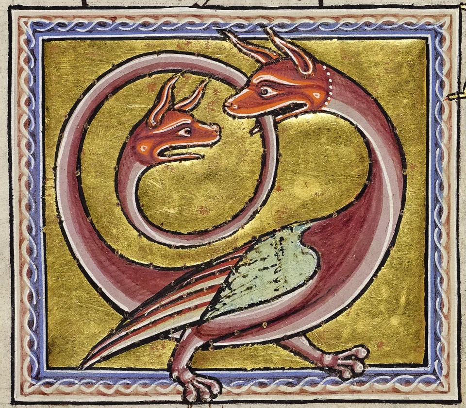 Amphisbaena