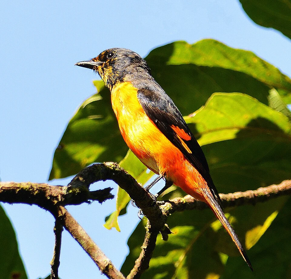 IN PUERTO PRINCESA CITY, PALAWAN, PHILIPPINES