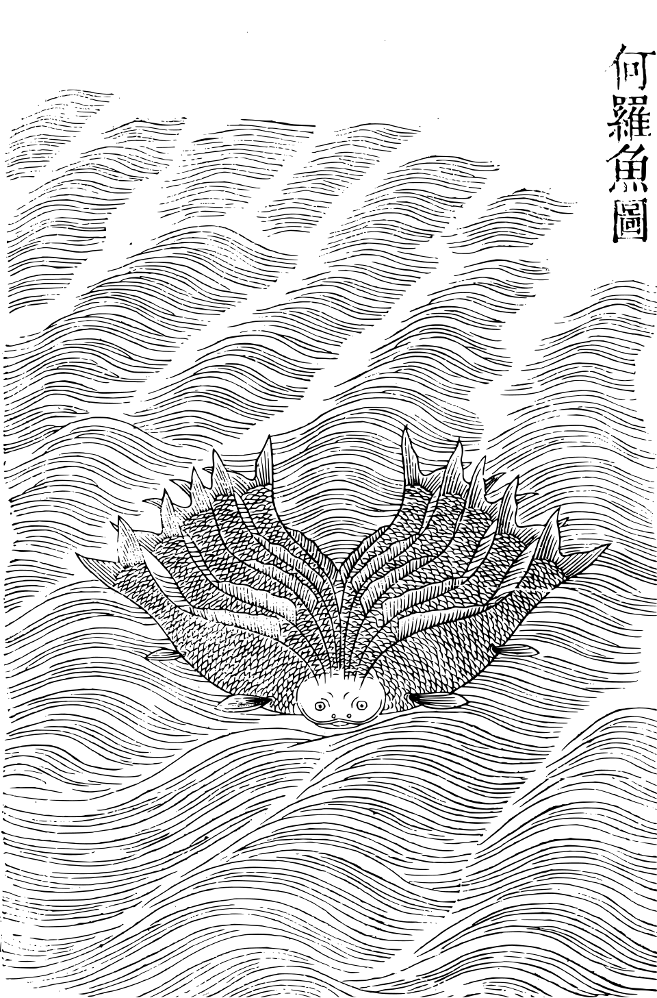 Heluo fish