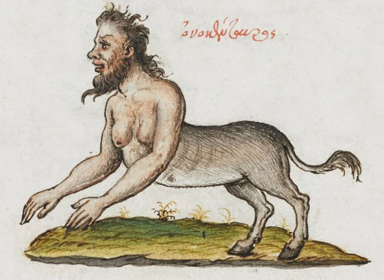 Onocentaur