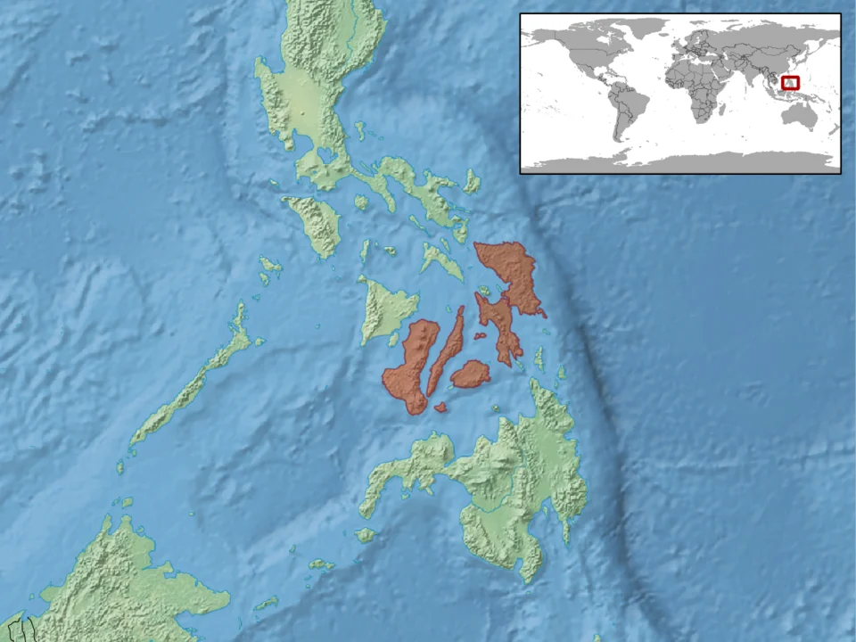 geographic distribution of Lepidodactylus herrei (Native:
Philippines)