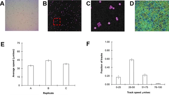 Chlamydomonas reinhardtii CC124 culture images, software cell tracking and motility measurements in Folcik and colleagues’ 2020 figure 1