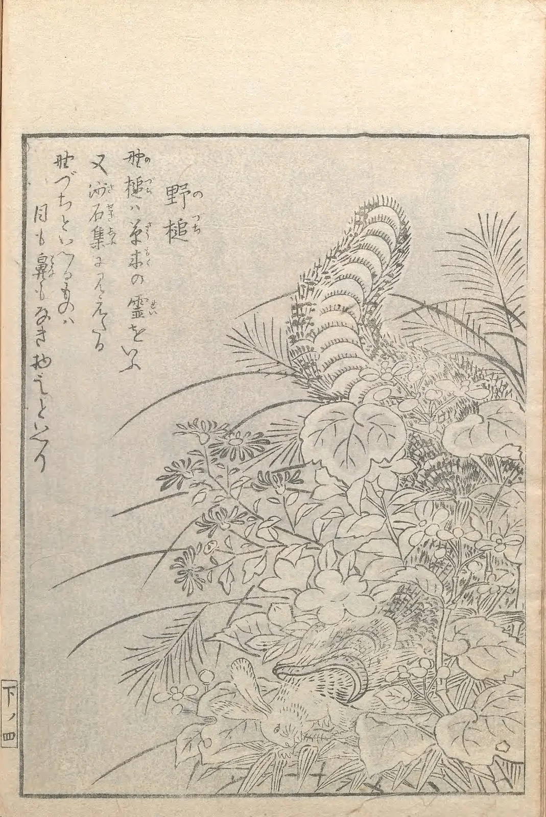 Nozuchi, named plate by Toriyama Sekien