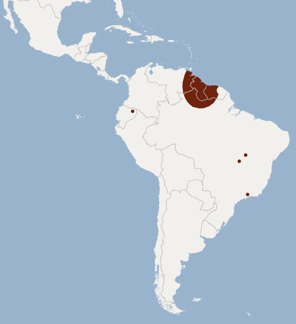 According to Eisenberg & Redford, 2000 & Sodré & Al., 2008