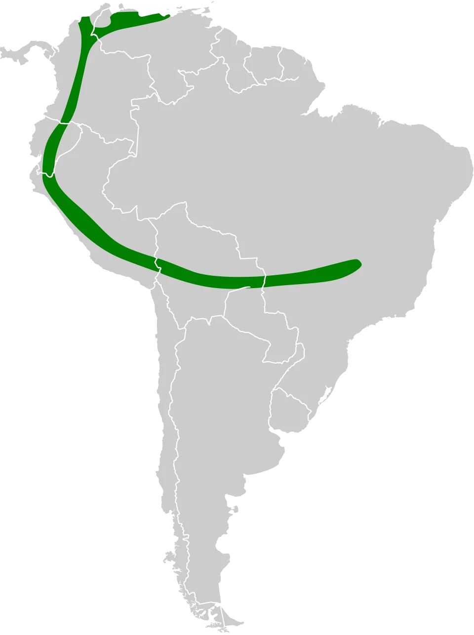 Geographical distribution of Little black serotine