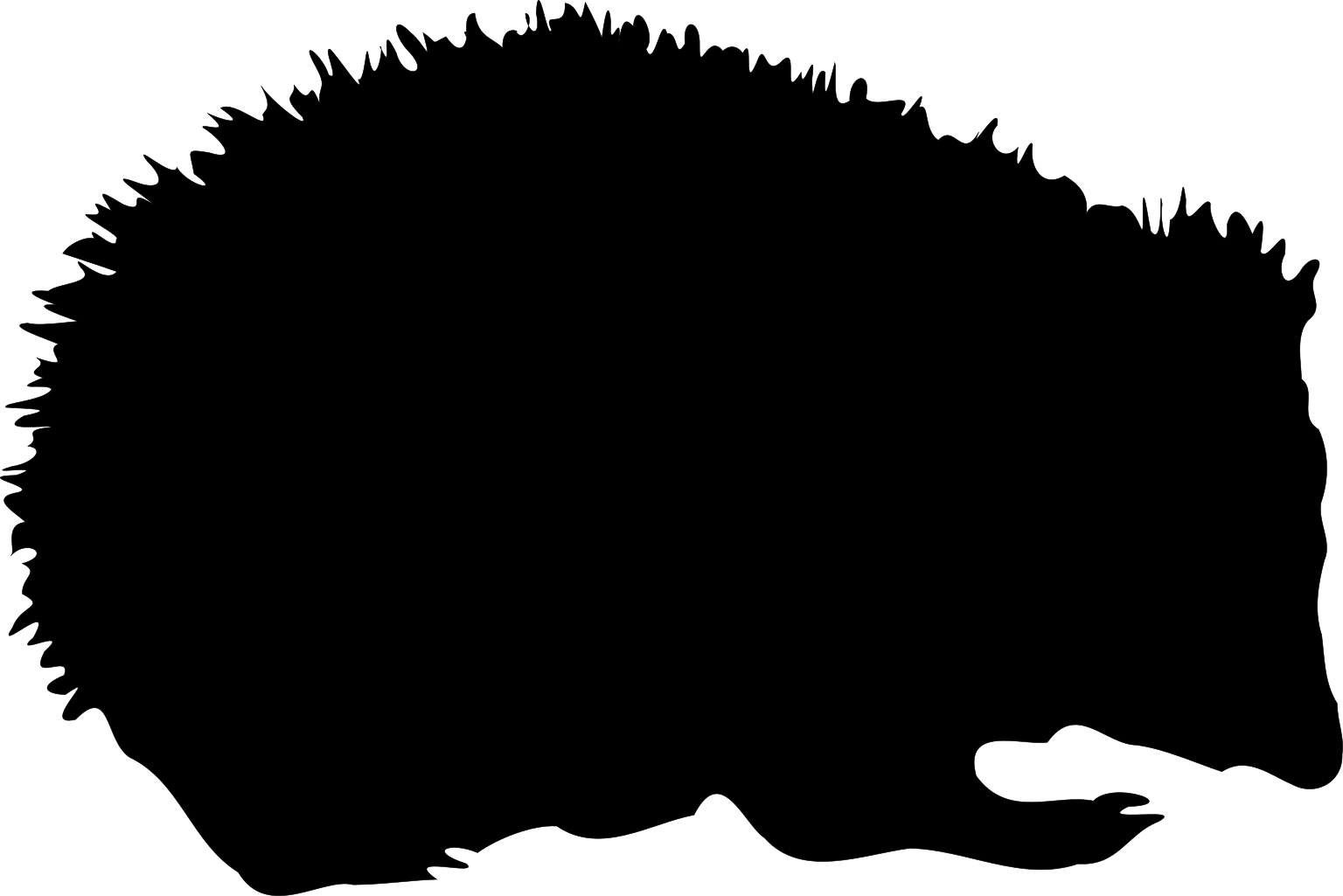 A black side-view hedgehog silhouette with a pointed snout, low feet and a spiny rounded back.