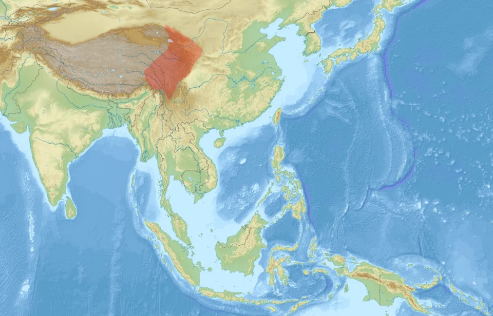 Distribution of Petaurista xanthotis
Projection: Equirectangular projection, strechted by 112.0%.
Geographic limits of the map:
N: 44.0° N
S: -11.0° N
W: 67.0° E
E: 163.0° E
GMT projection: -JX33.86666666666667cd/21.73111111111111cd
GMT region: -R67.0/-11.0/163.0/44.0r
GMT region for grdcut: -R67.0/-11.0/163.0/44.0r
Relief: SRTM30plus.
Made with Natural Earth. Free vector and raster map data @ naturalearthdata.com.