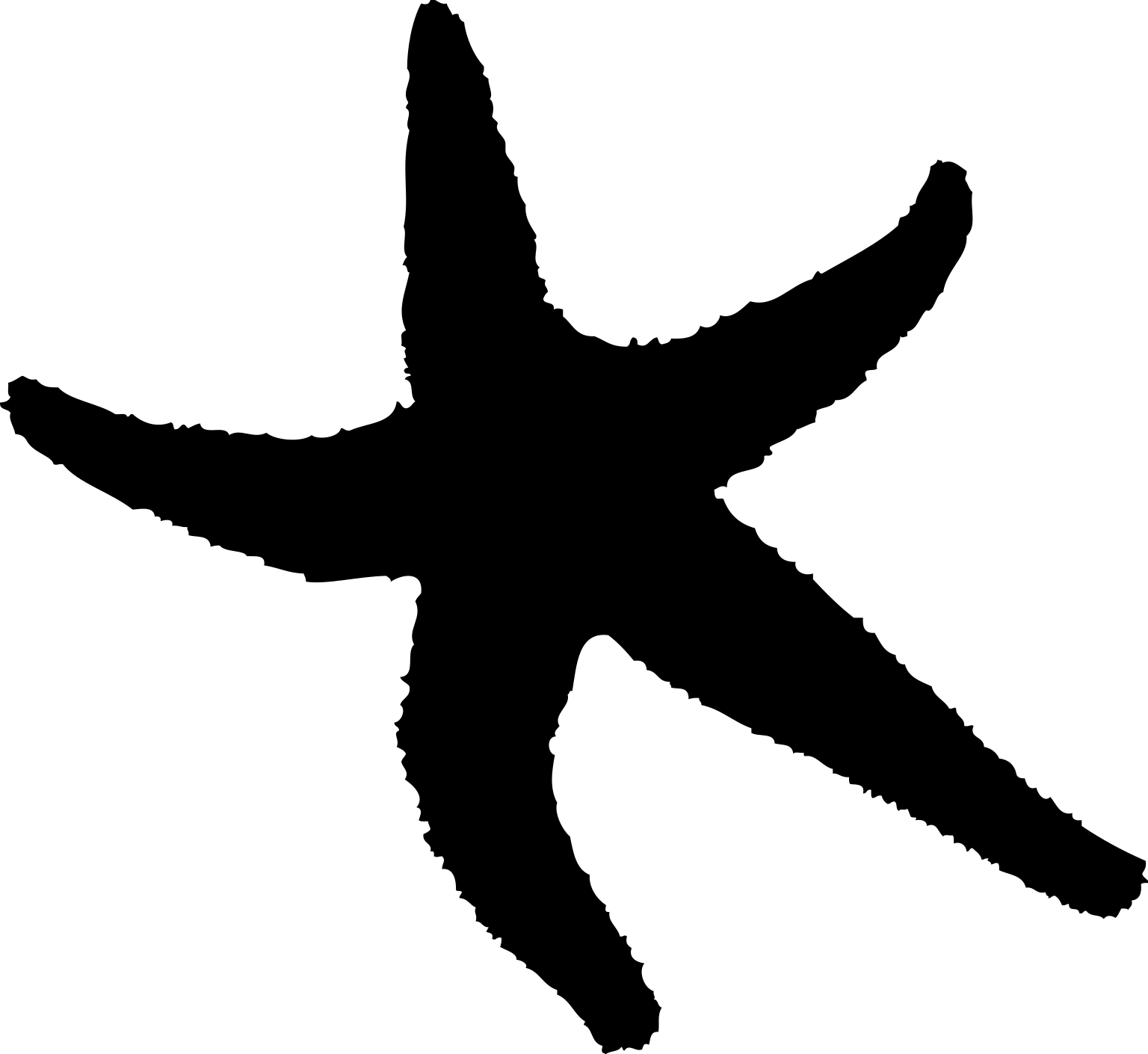 A black silhouette of a five-armed starfish viewed from above, with uneven tapering arms.