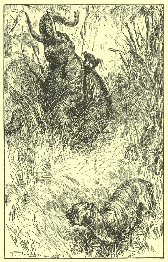 Townsend’s Gājah elephant with the mouse-deer on its back as a tiger flees