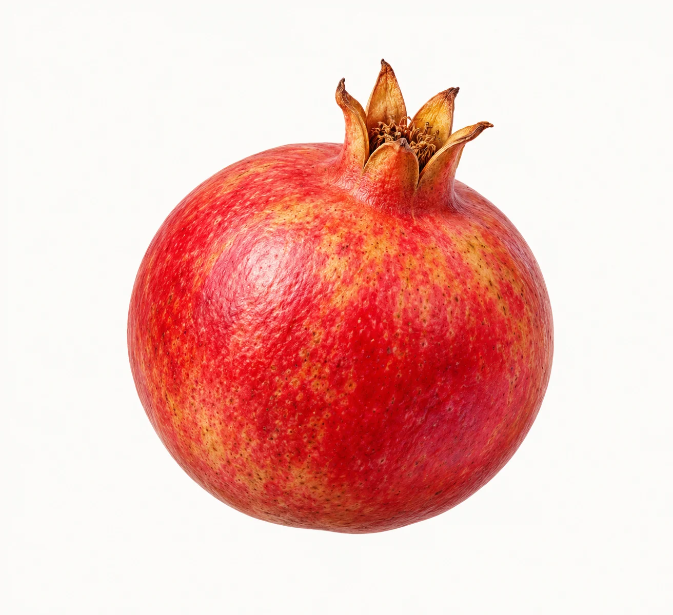 Pomegranate fruit study