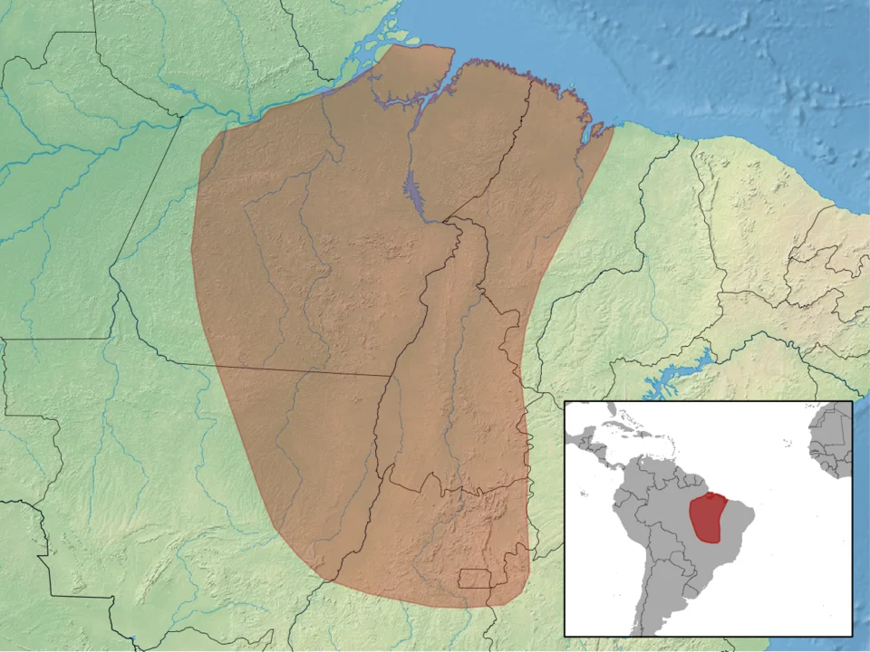 geographic distribution of Proechimys roberti