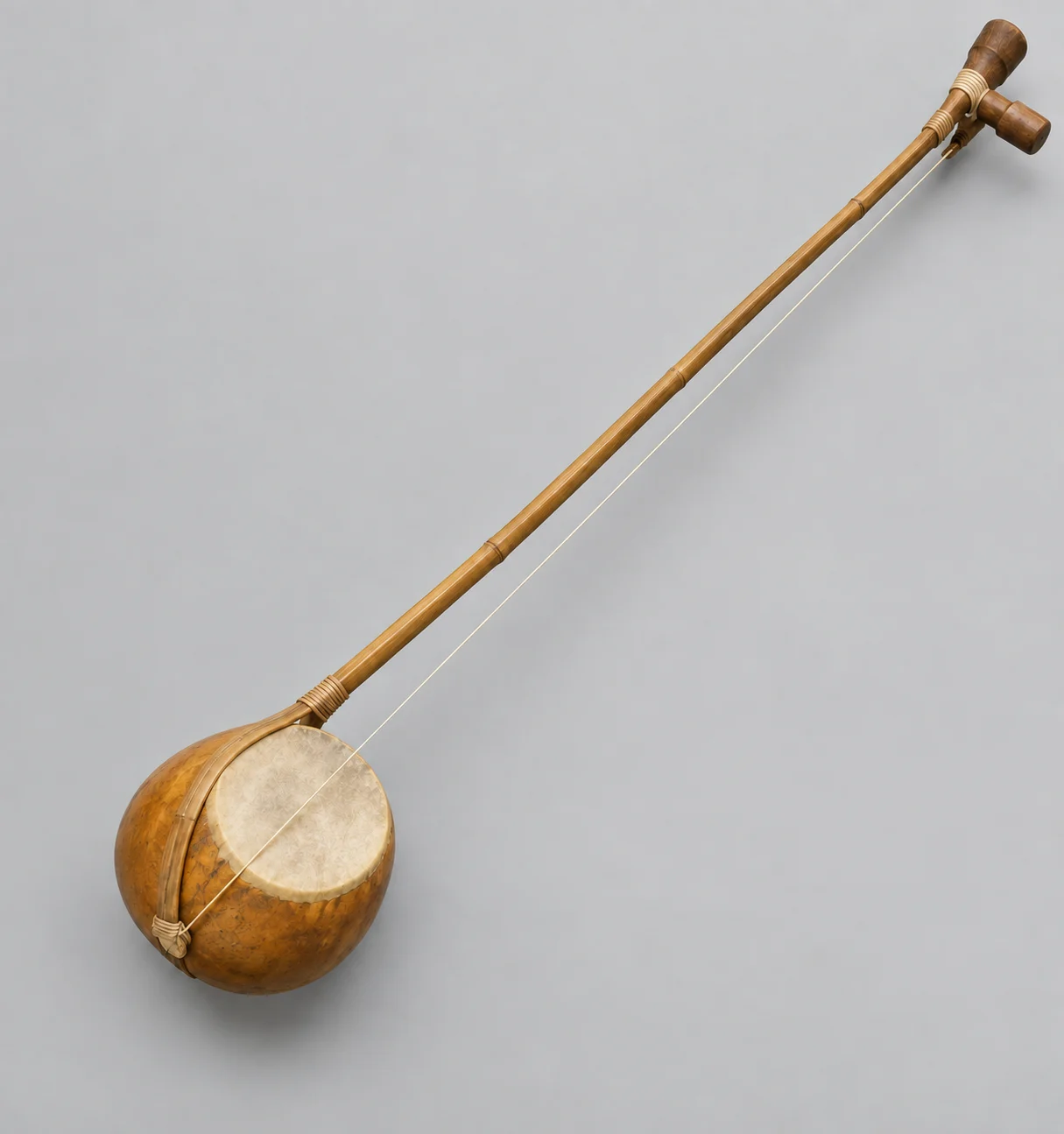 Interpretive gourd-bowl ektara with split-bamboo supports.