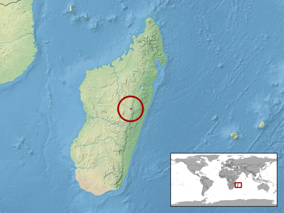 geographic distribution of Phelsuma pronki (Native:
Madagascar)