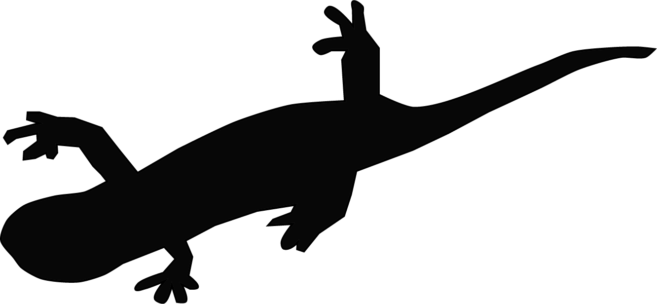 A black silhouette of a salamander seen from above, with four splayed legs and a tapering tail.
